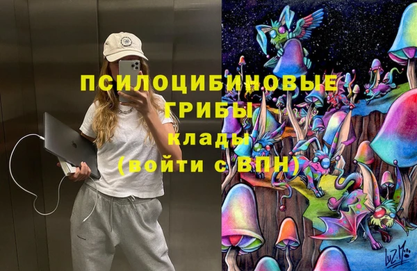 синтетический гашиш Медвежьегорск