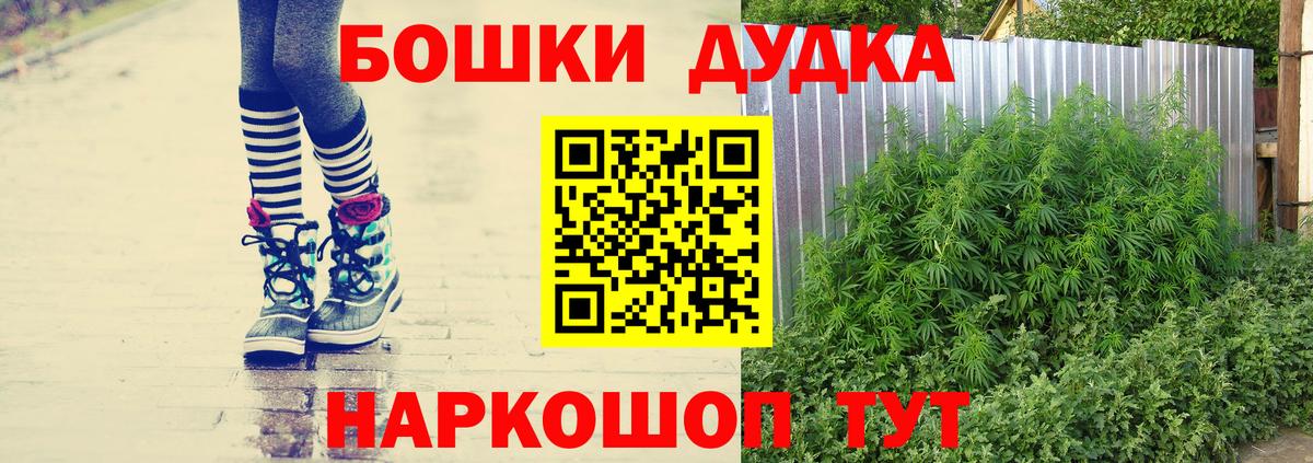 Конопля индика Дубна